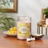 Glass Jar Mango Coconut Candle - Opalhouse™ 2 Glass Jar Mango Coconut Candle - Opalhouse™ -Opalhouse GUEST 86c199ef 4f61 4e98 b724 4f64945e7439